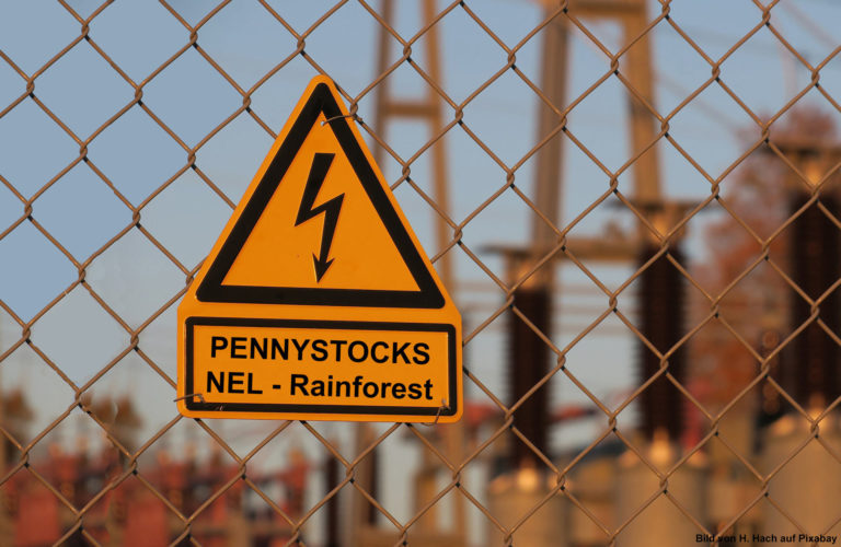 Warnzeichen bei Pennystocks: Nel Asa und Rainforest Ressources